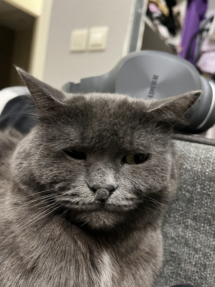 Твое лицо утром в субботу