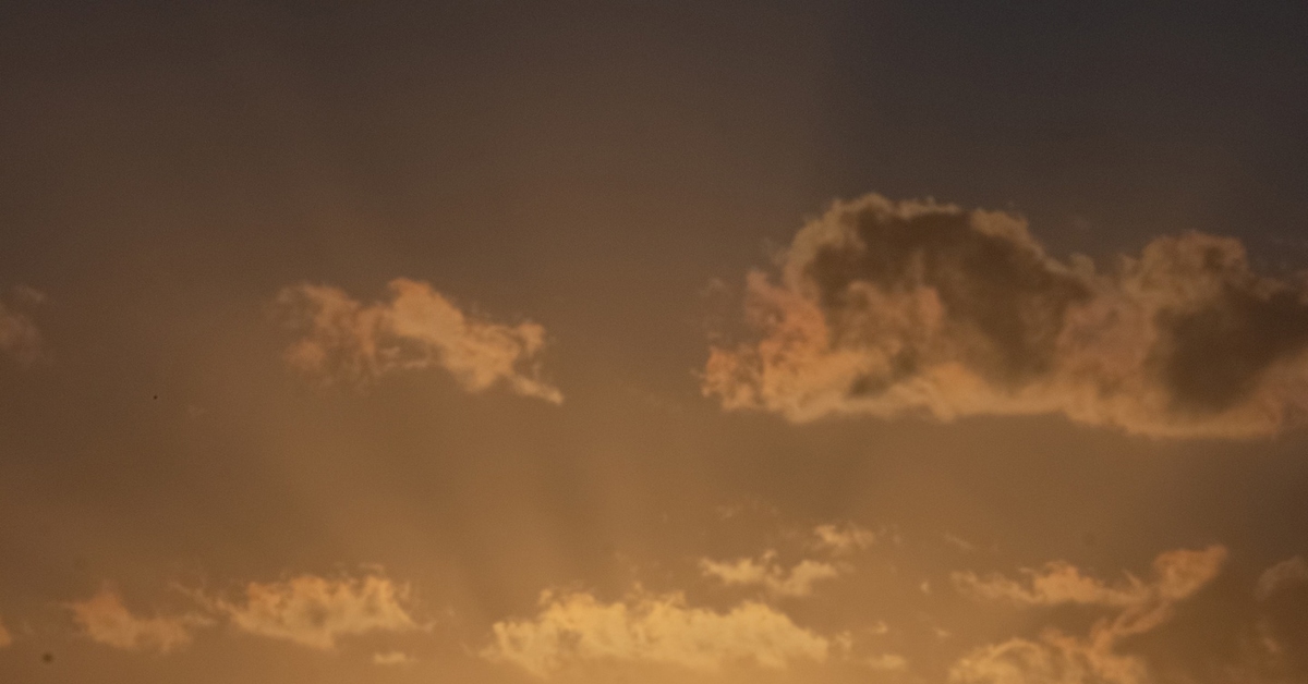 Солнце встало | Пикабу