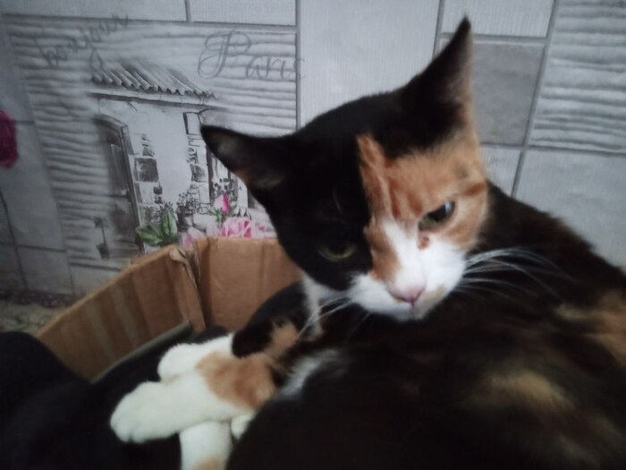 Этот взгляд