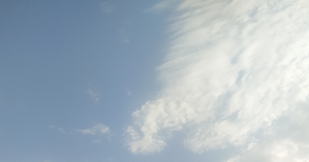 Нужна консультация юриста в РБ | Пикабу