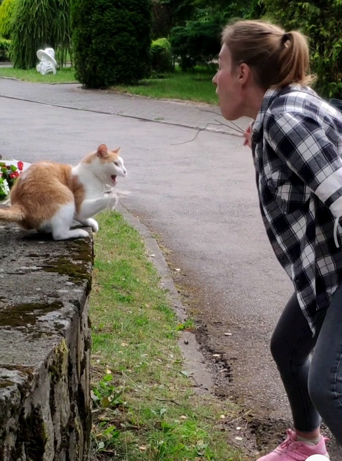 Немного поспорили)