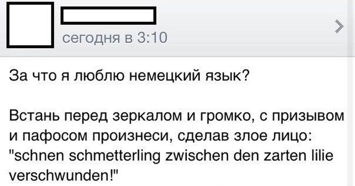 Понравилось по немецки. Приколы про немецкий язык. Шутка про немецкий язык бабочка. Анекдоты про немецкий язык. Шутки на немецком языке приколы.