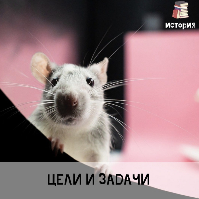 � ������������ ����� � �����. ������ ������