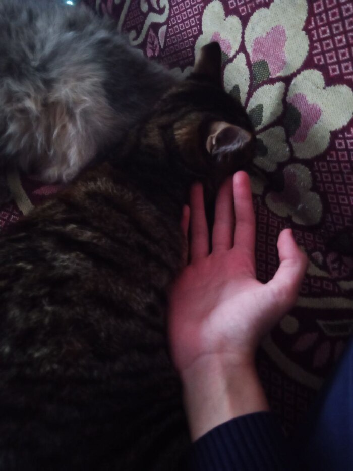 Он вырос! Он больше чем моя рука