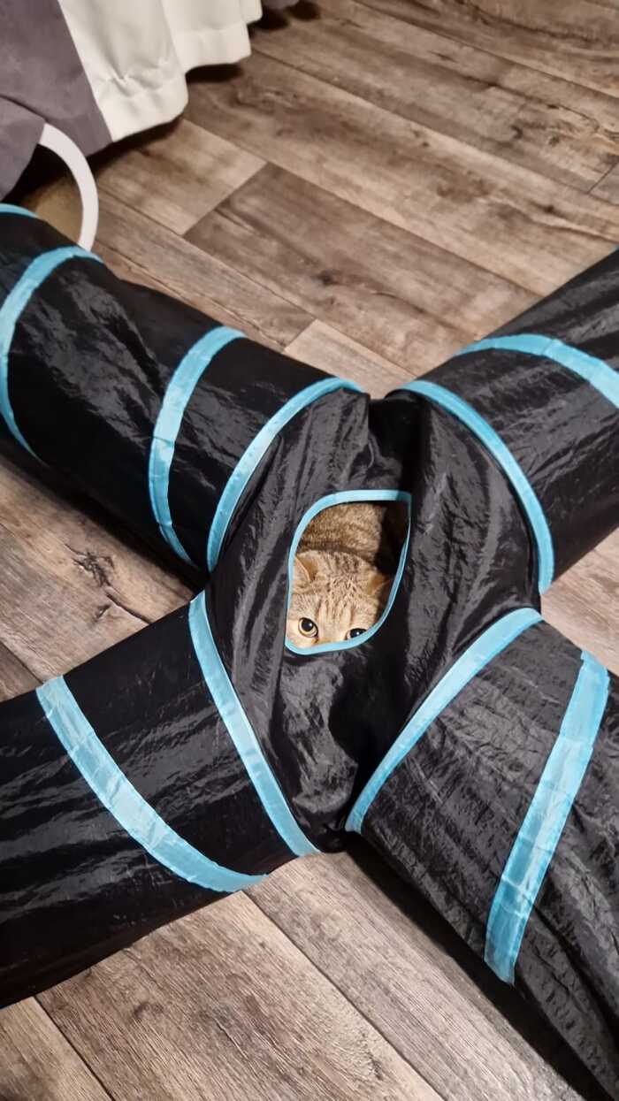  , 