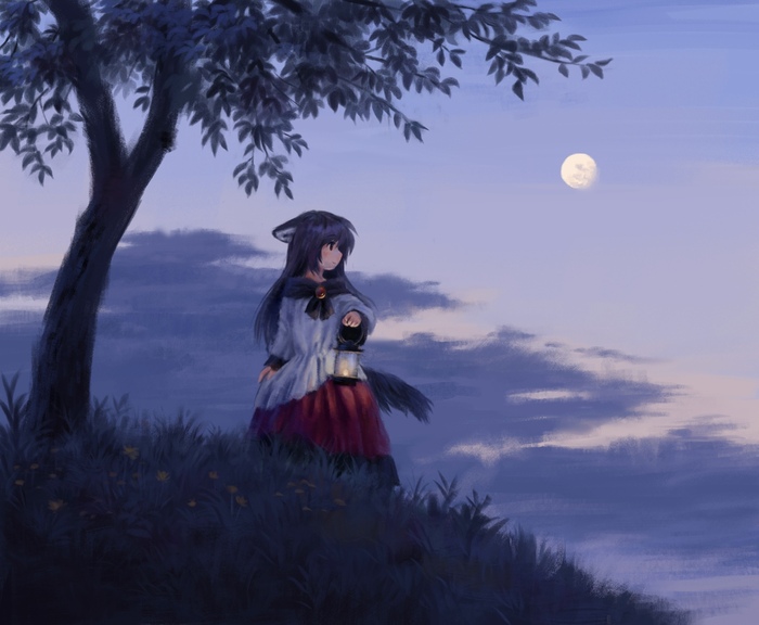      ,   Touhou, Imaizumi Kagerou, Anime Art, , 