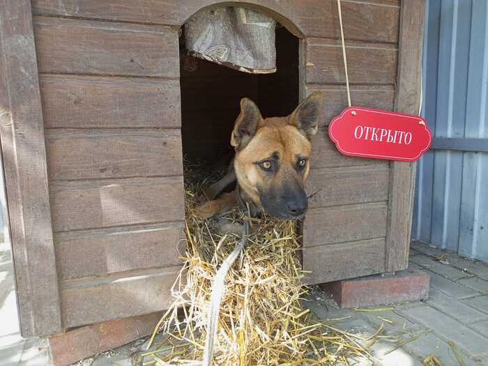 .  - .        -  ?   ,  - ,   )