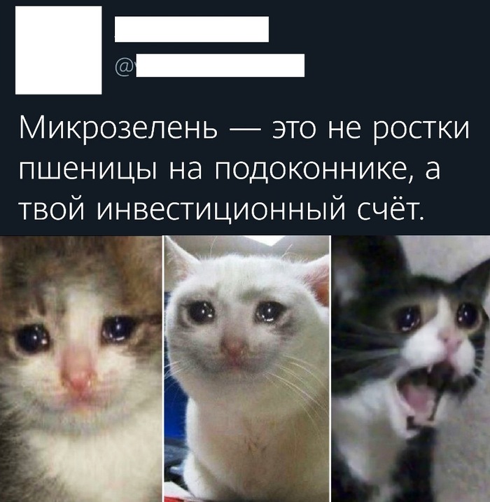       ... , , ,  ,   , , , 