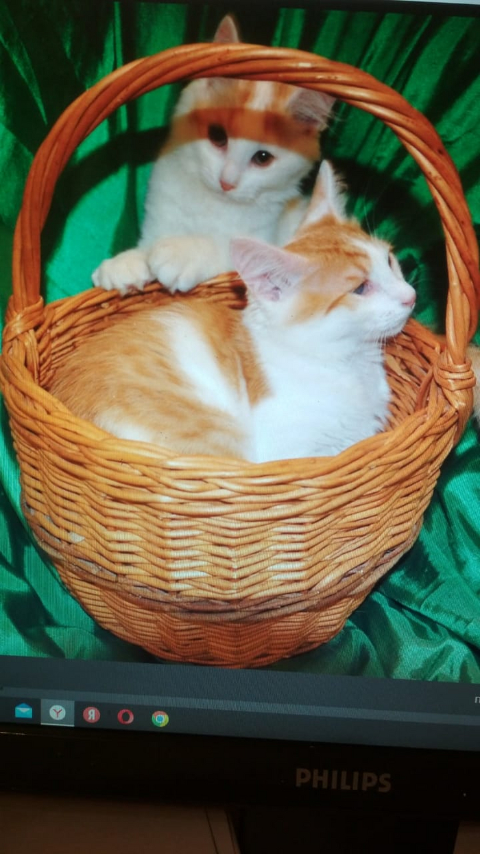      ,  , , , 