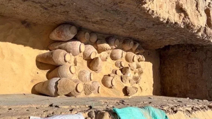 В Египте нашли 5000-летние кувшины с вином Древние артефакты, Археология, Египет, Древний Египет, Раскопки, Археологические находки
