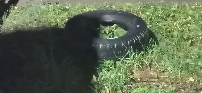 ����� ��� ��� �� �����?