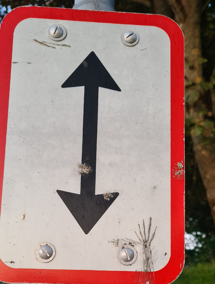 Местное художество на знаке дорожного движения:)