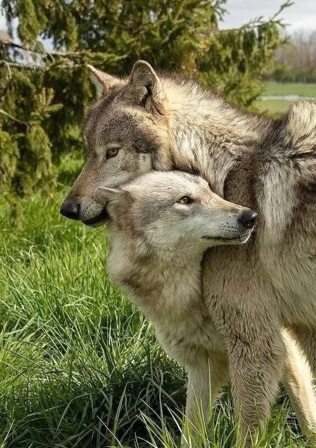 Мир вокруг нас