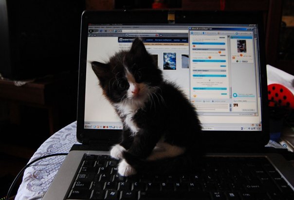 разблокировка ноута - только за сосиску!