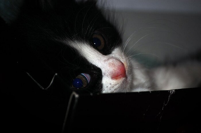 Что, и вам такое нужно ?:)