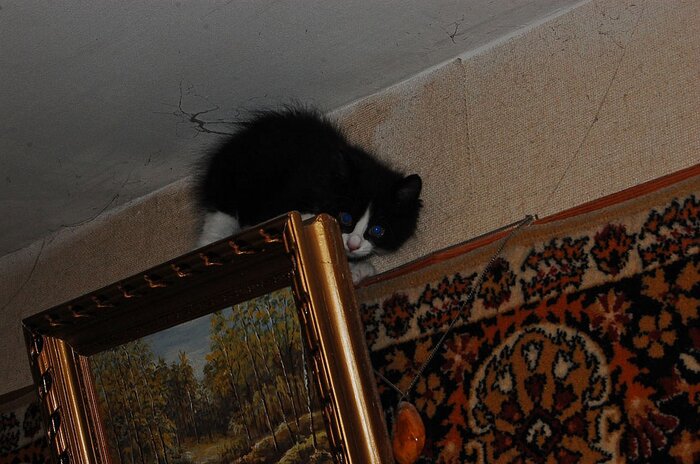 я тучка-тучка-тучка, я вовсе не медведь..