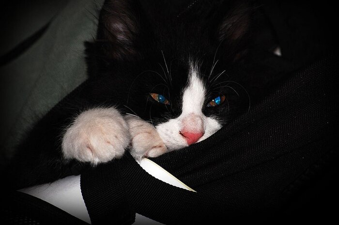 Задумался.. О трансцедентном..