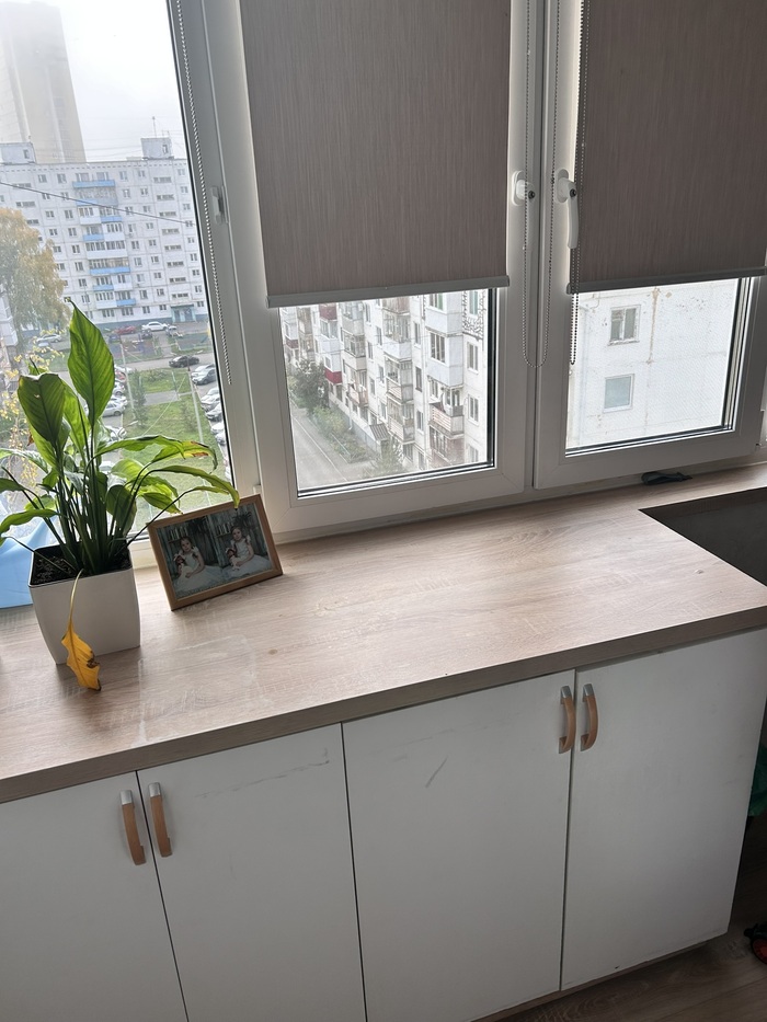       .        ,          .       .     -  