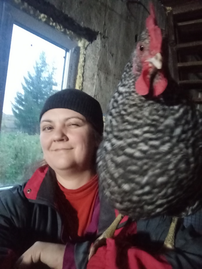 ������ �������� �� ������, ������ � ������ �������