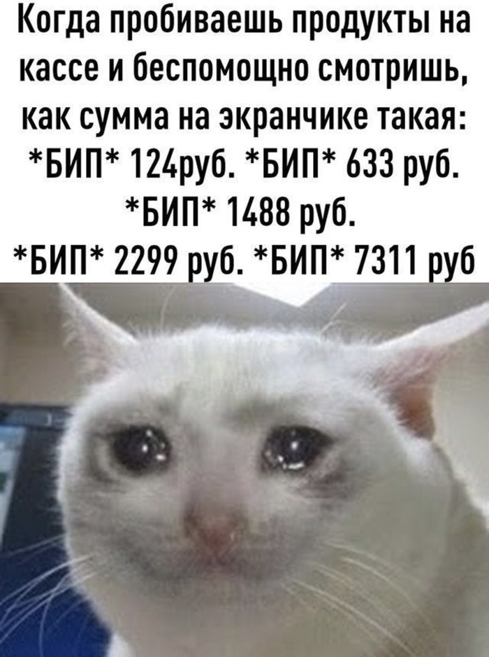    , , ,  , , , , 