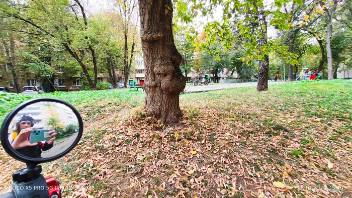 ������� ����������