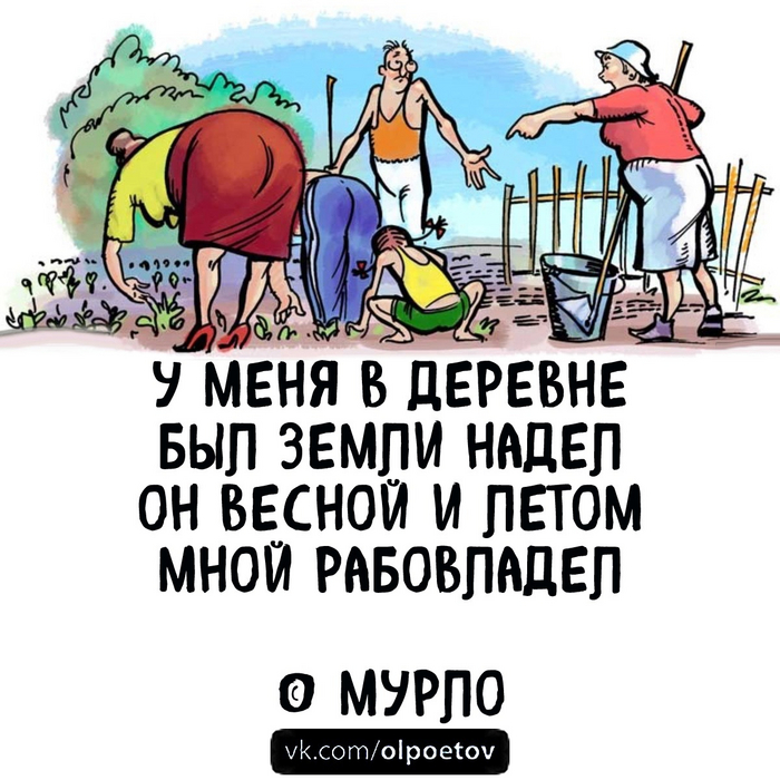 Общество лучших поэтов (ОЛП) Лучшее | Пикабу