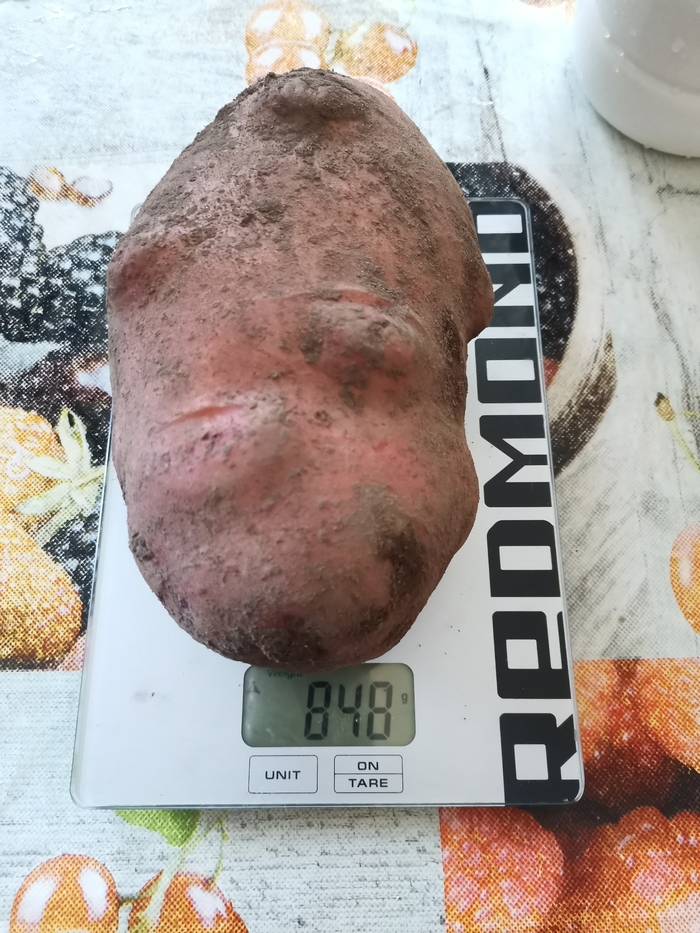 Рекордсмен