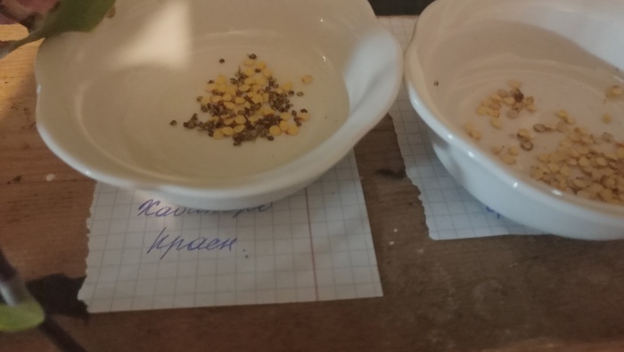 Ещё пять человек могут записаться) Жду до понедельника, в понедельник отправлю!") Всем благ!)