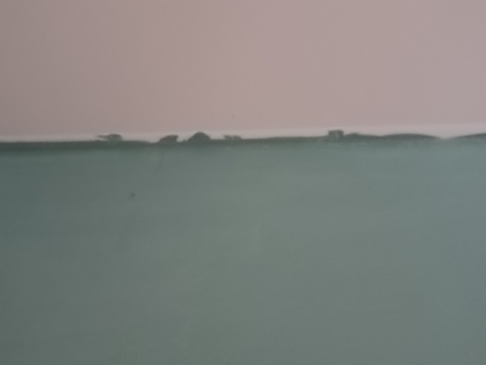 Как убрать \"краску по обоям\" с натяжного потолка? | Пикабу