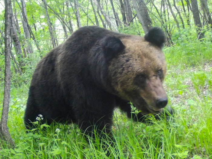 Снимок сделан с разницей в 4 дня с предыдущим фото