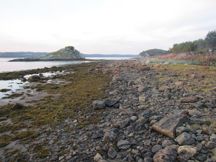 ����� ������. �������� ��������� ����.