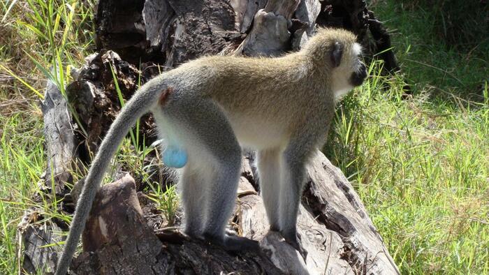 ����� � �� ��� ������ ����� ������