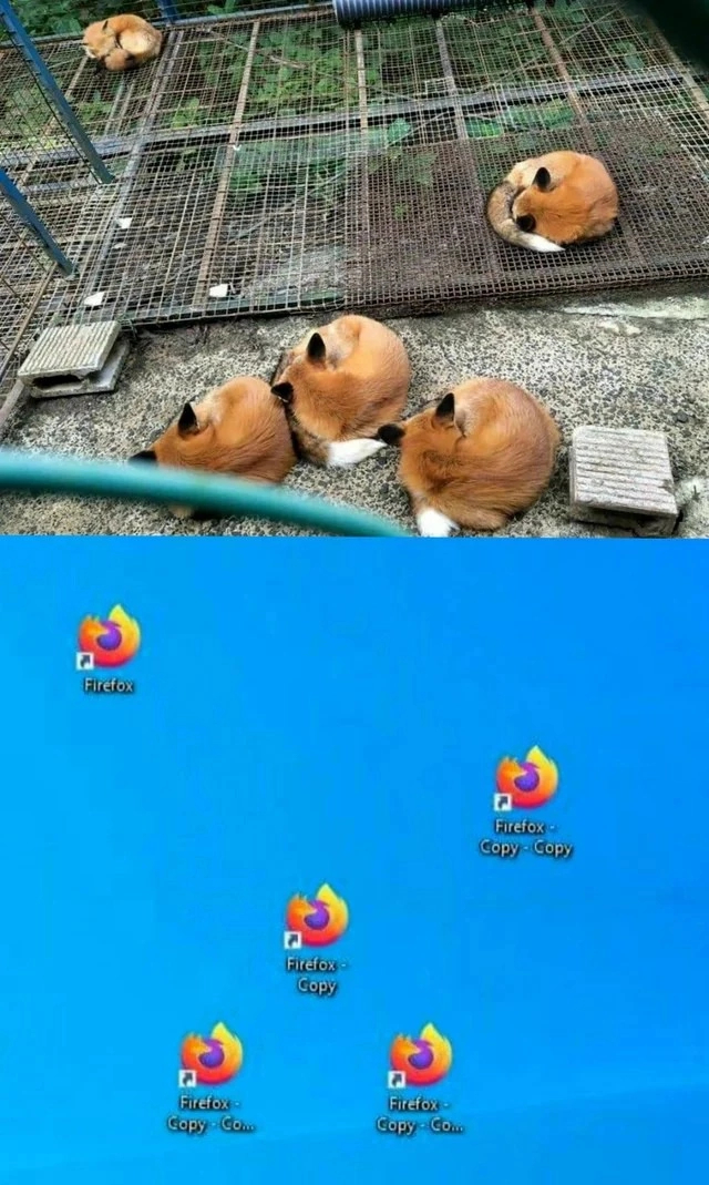 Firefox' , ,  ,   , , , Firefox,  