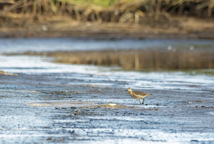 ������� ����� ���������� �������. C�����: 1-� ���������. ��������� ��������� ���� ��������� � ������� ��� ������� ������������.