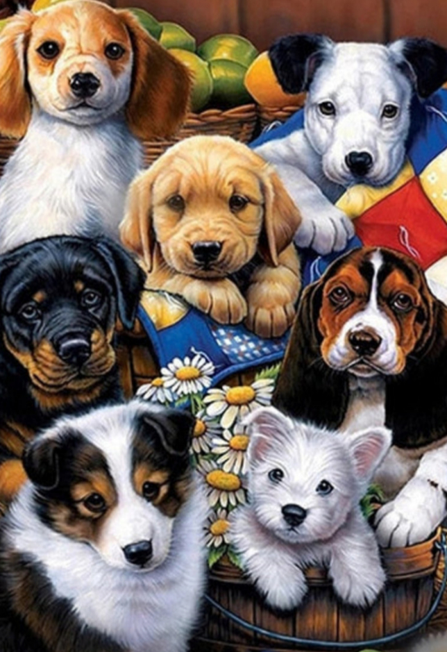 Электромассажёры у нас дома