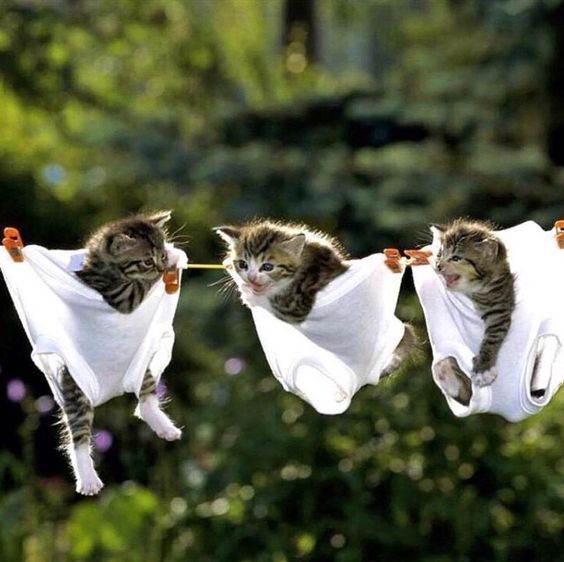 И как вам висится?