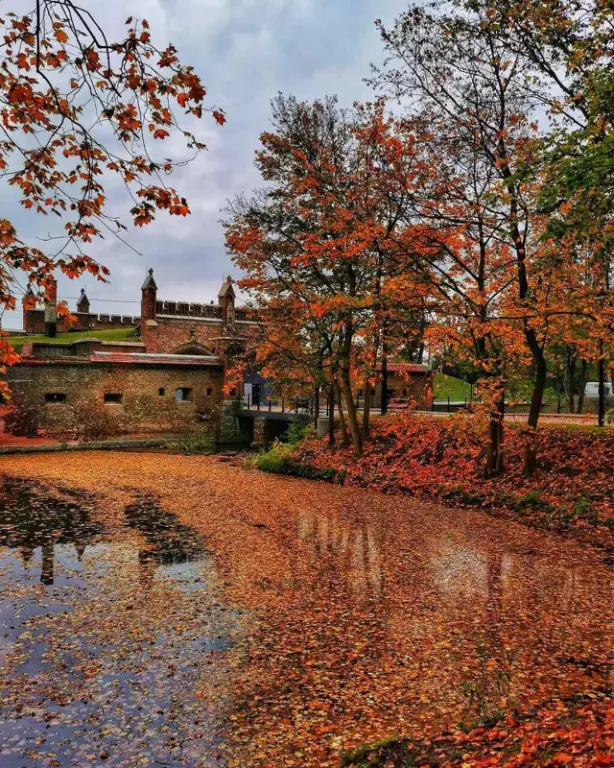 Осень в Калининграде