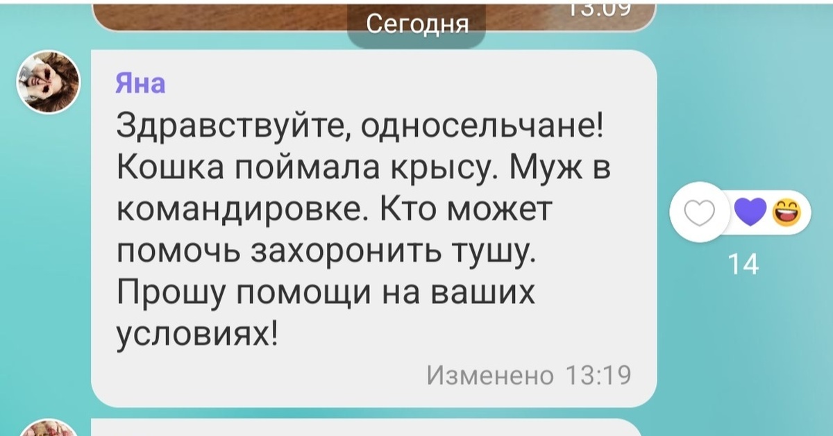 Поселковый чат, как отдельный вид искусства! | Пикабу