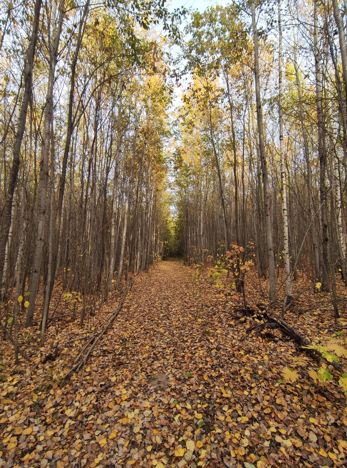 ���� ���� ������� ������?