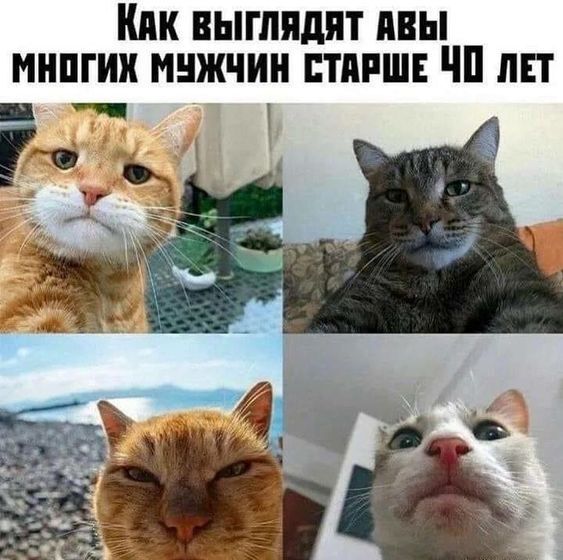 Когда тебе 40+
