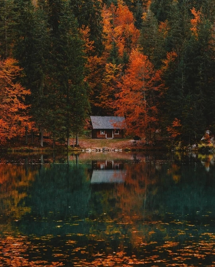 Тихое место