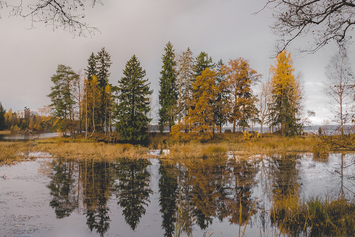 В парке множество хоженых и нехоженых троп, где каждый найдет для себя что-то интересное. Сквозь этот мини лес тоже проходит тропинка