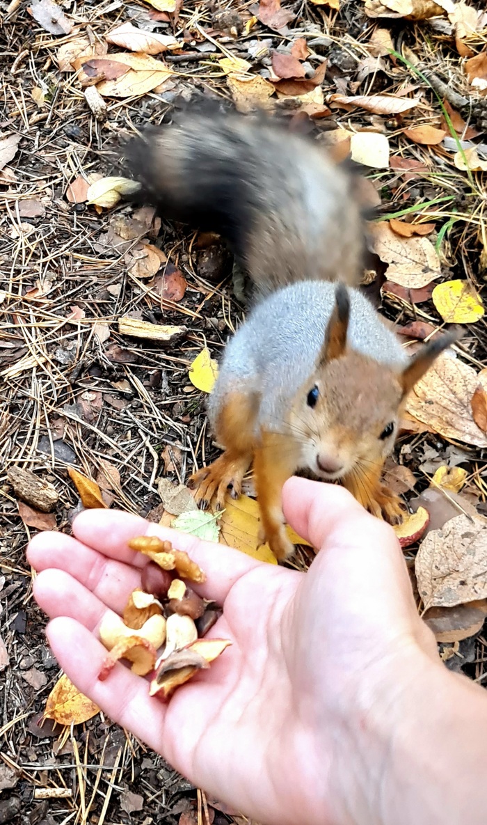 Точно-точно всё мне?