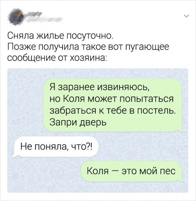 Хороший сосед | Пикабу