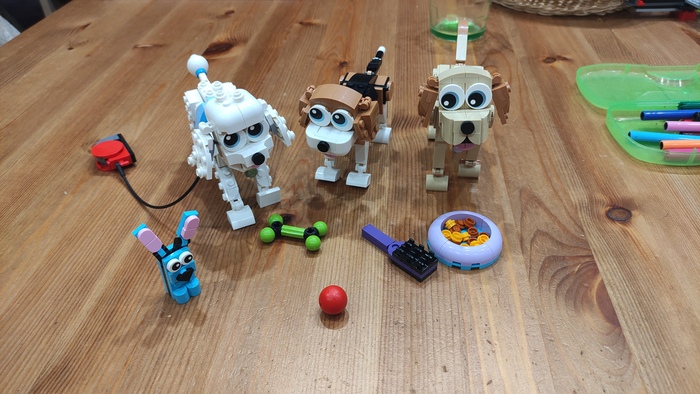 Вся компания в сборе.