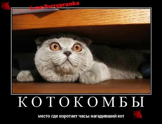 Свежее прочтение