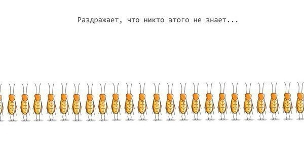 �������� � ��