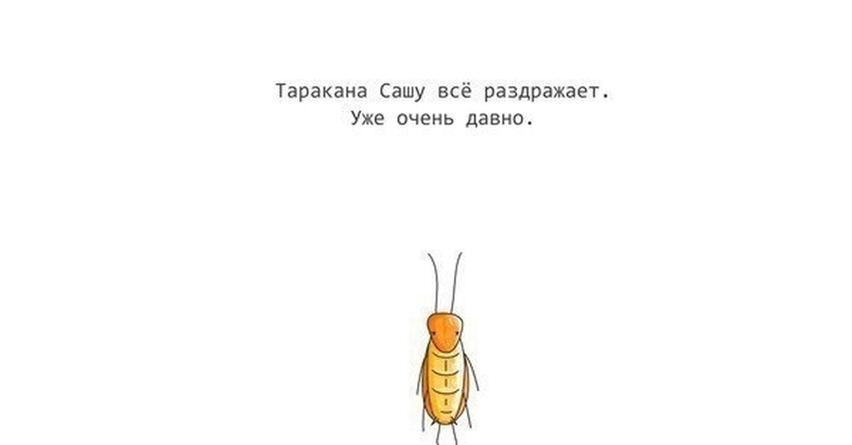 Я веселый таракан текст. Таракан Саша. Таракан прикольный. Тараканы прикольные картинки. Приколы про тараканов.
