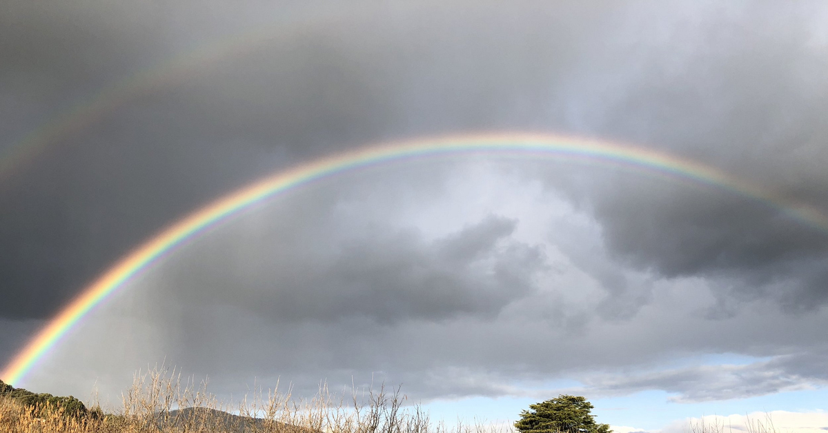 Rainbow | Пикабу