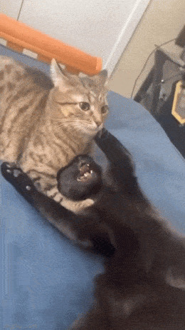      , , , 